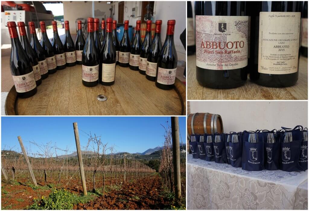 Monti Cecubi - Abbuoto wine - Italy